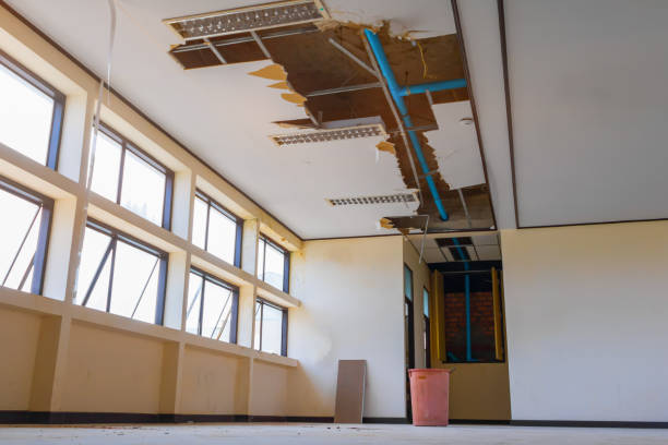 Reliable Gerald, MO Water damage restoration Solutions