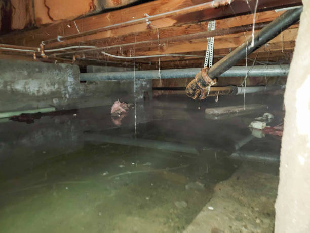 Best Commercial water damage restoration  in Gerald, MO