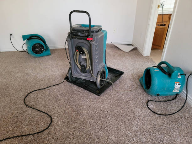 Trusted Gerald, MO Water damage restoration Experts