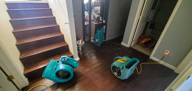 Best Water damage restoration near me  in Gerald, MO