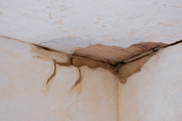 Best Fire Damage Restoration  in Gerald, MO