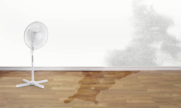 Carpet water damage restoration in Gerald, MO
