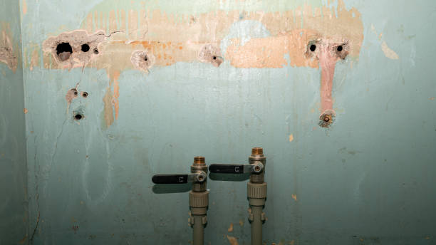 Best Flood restoration services  in Gerald, MO