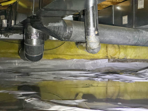 Best Water damage cleanup near me  in Gerald, MO