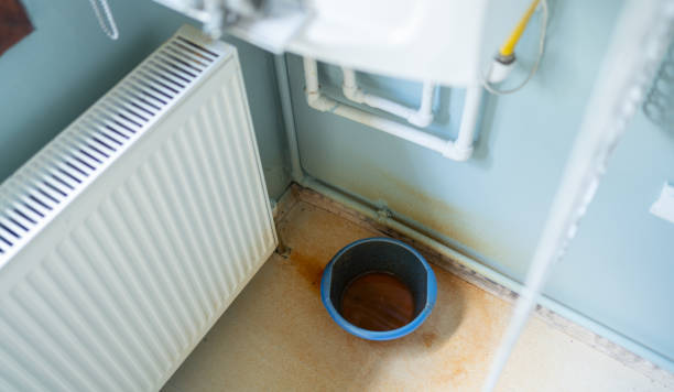 Best Flood restoration services  in Gerald, MO