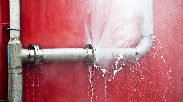 Water damage restoration mold remediation in Gerald, MO