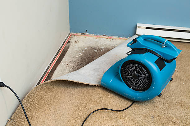  Gerald, MO Water damage restoration Pros
